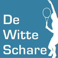 Logo T.V. De Witte Schare